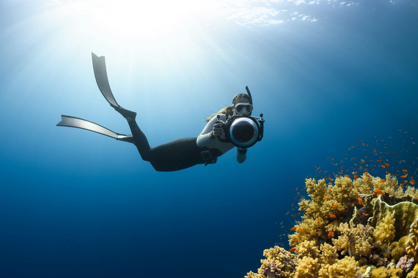 Snorkelista explorando aguas claras, escena típica en las inmersiones desde la costa de Lanzarote