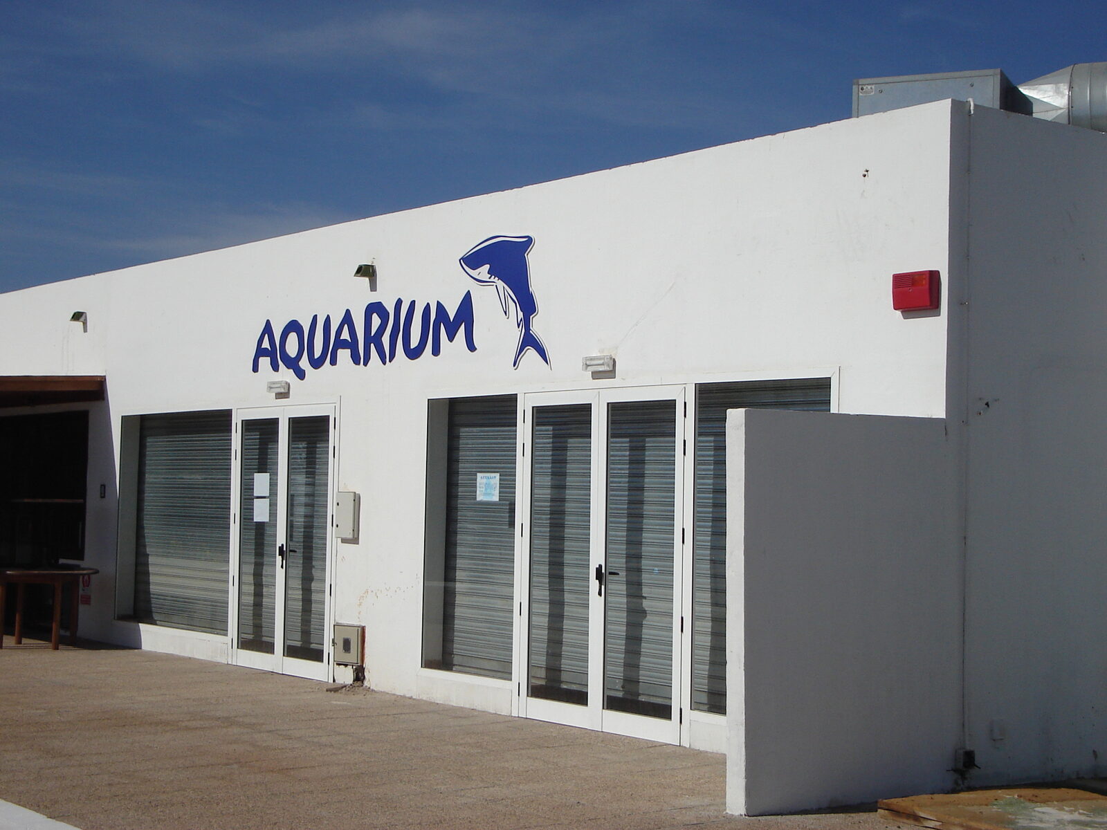 Lanzarote Aquarium in Costa Teguise mit Hai-Tunnel und Meerestieren