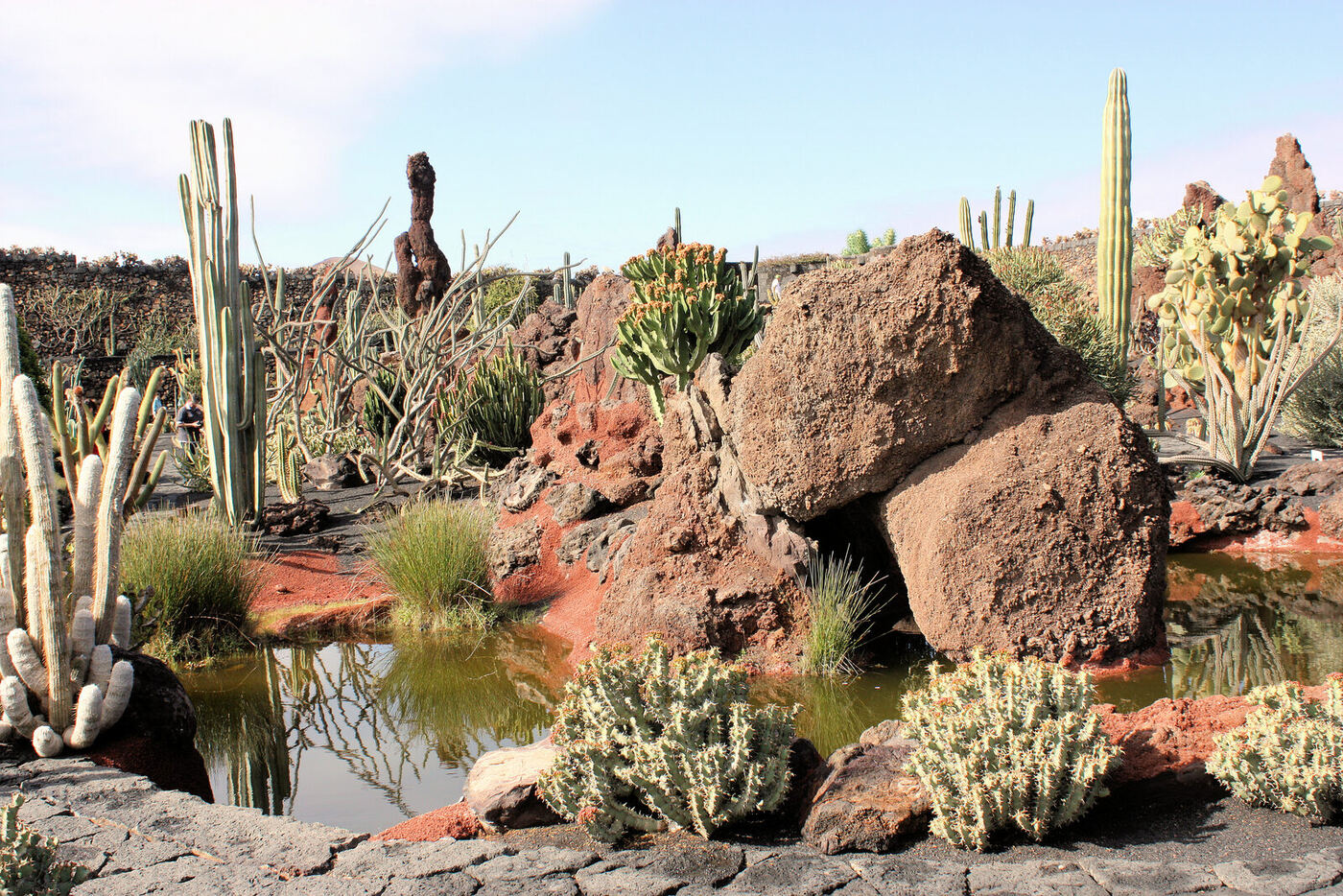 Jardin de cactus aménagé dans une ancienne carrière volcanique à Guatiza, Lanzarote