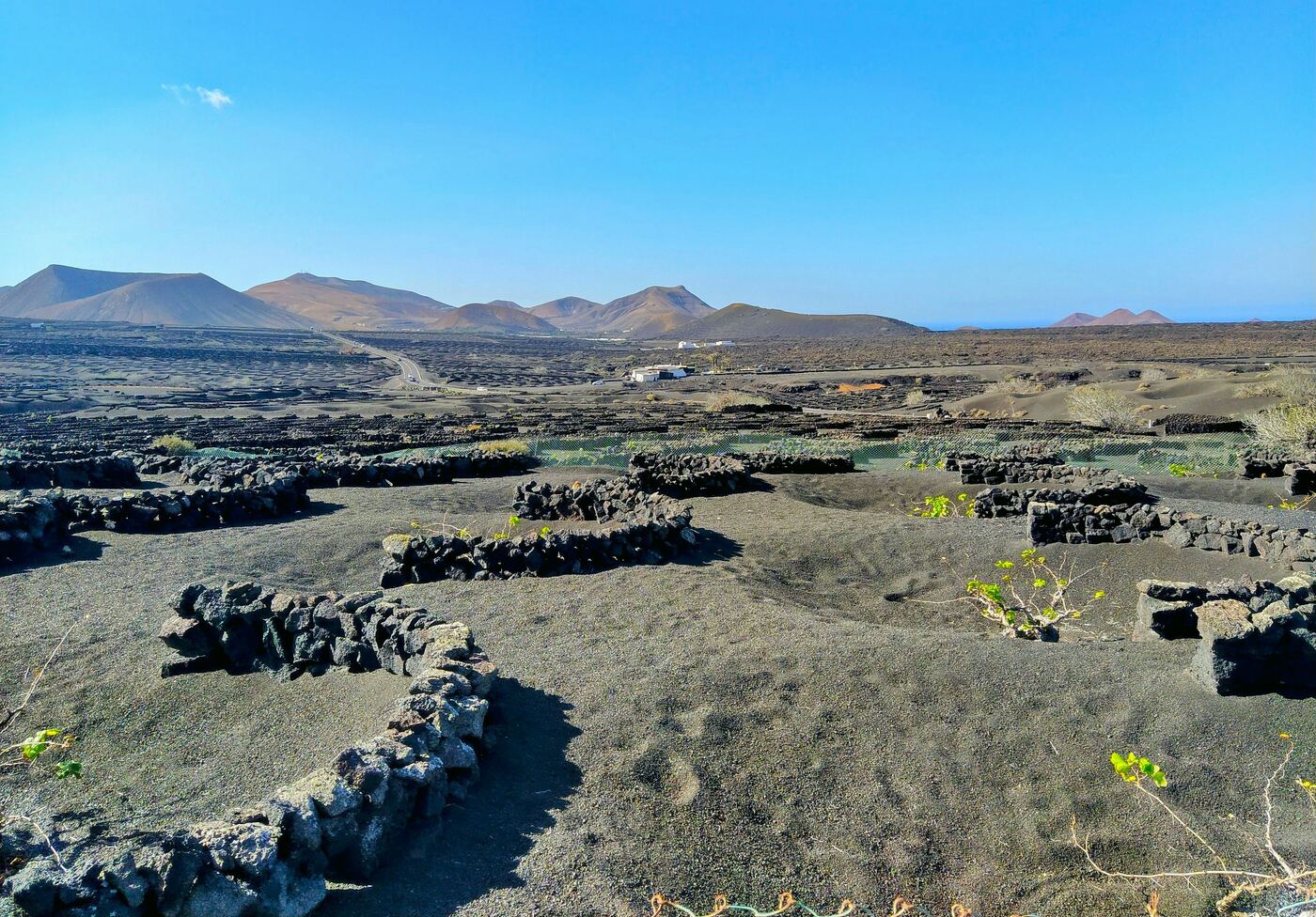 Bodega moderna y restaurante Bodega Stratvs en La Geria, Yaiza, Lanzarote