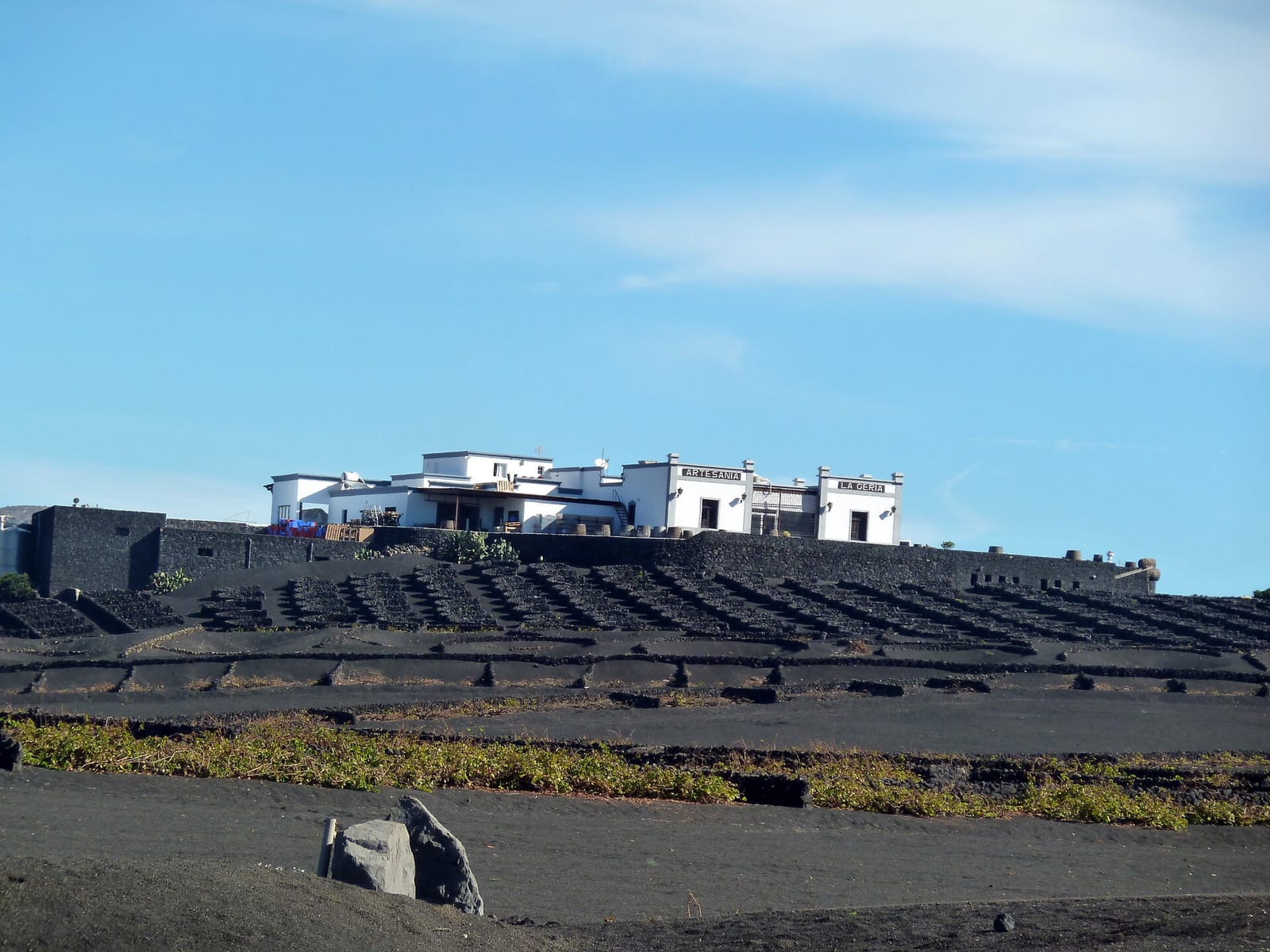 Vino y paisaje volcánico