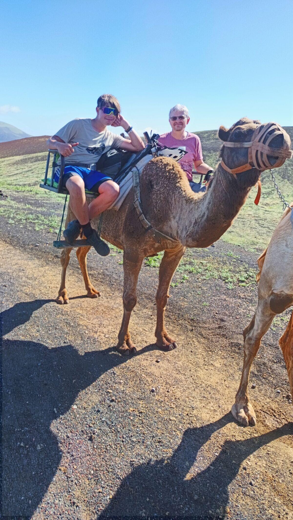 Caravana de camellos en el Echadero de los Camellos cerca de Timanfaya